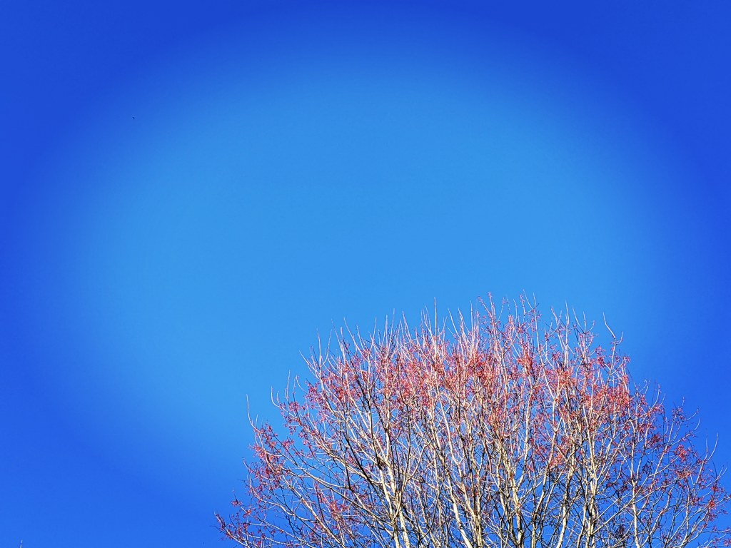 Fiction Pick: ‘Just Look at How Everything&nbsp;Is”