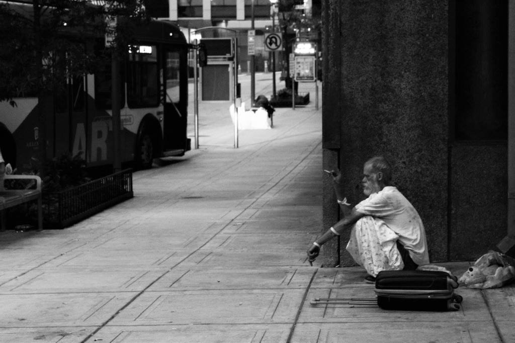 Fiction Pick: ‘A world so brilliantly&nbsp;green’