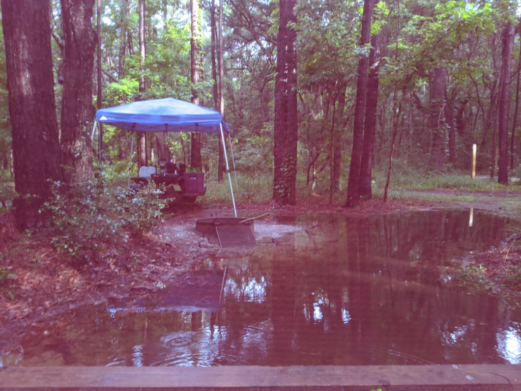 I Guess That’s Why They Call it the Low Country&nbsp;(Blues)