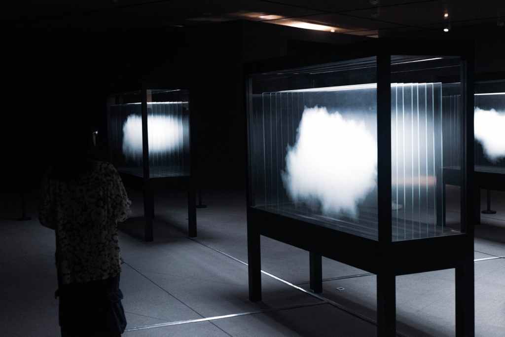 Fiction Pick: ‘Flower, beast or&nbsp;Hitler’