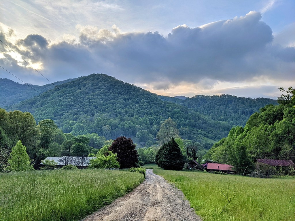 Movement is for the&nbsp;Living