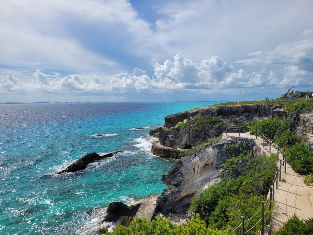Feral Gatos in the&nbsp;Alleyways