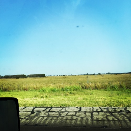 On the Road&nbsp;Again